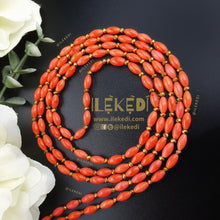 Load image into Gallery viewer, Asake Coral