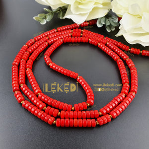 Isi Red Coral
