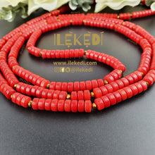 Load image into Gallery viewer, Isi Red Coral