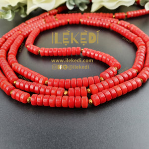 Isi Red Coral