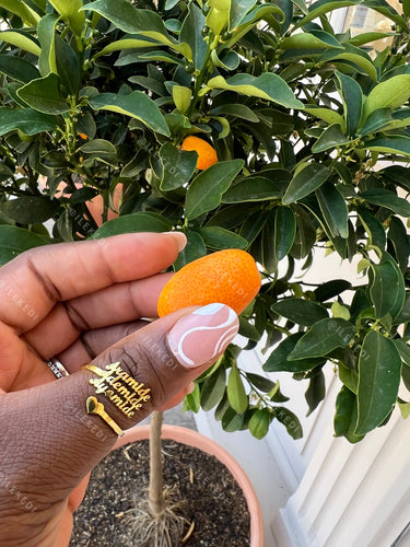 Personalized Name Ring